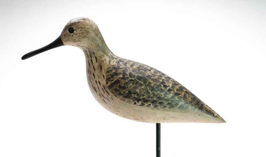 Harry V. Shourds – Yellowlegs – 2025
