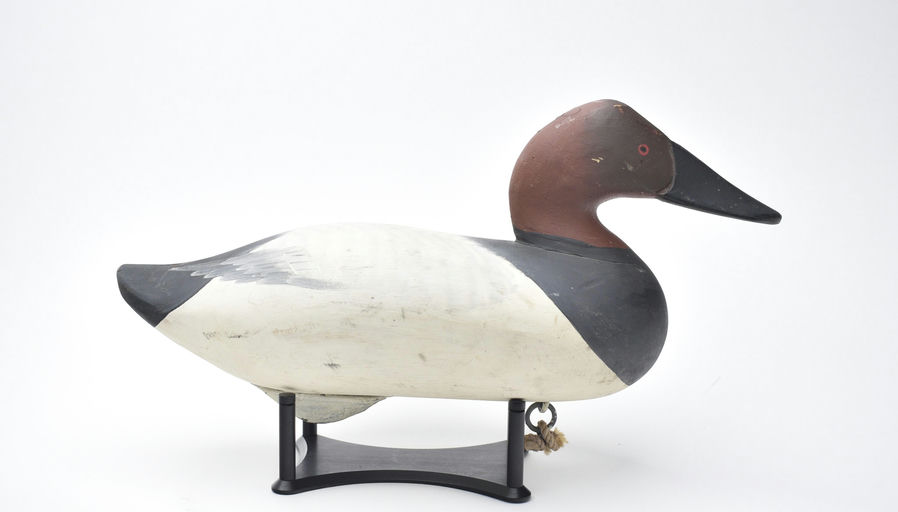 R. Madison Mitchell – Canvasback – 2025
