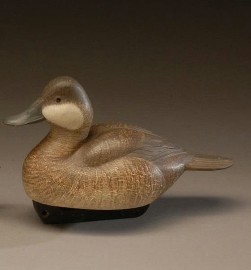 Paul R. Berdette – Ruddy Duck Hen – 2008