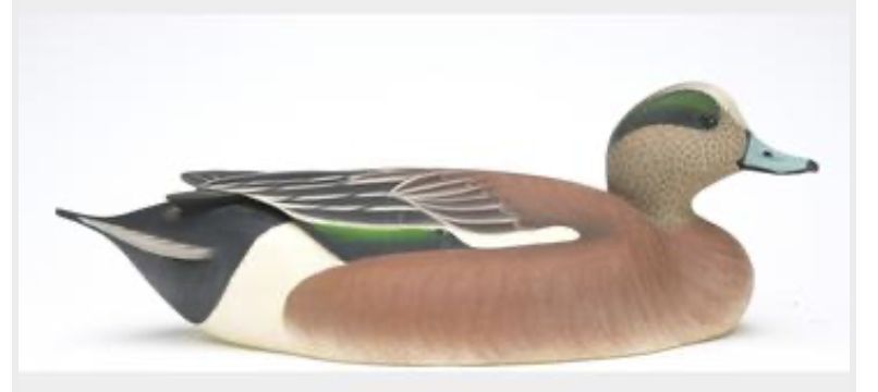 Marty Hanson – Wigeon