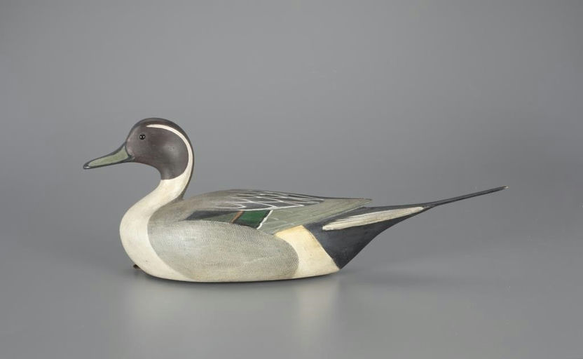 Mark McNair – Pintail Drake – 2024