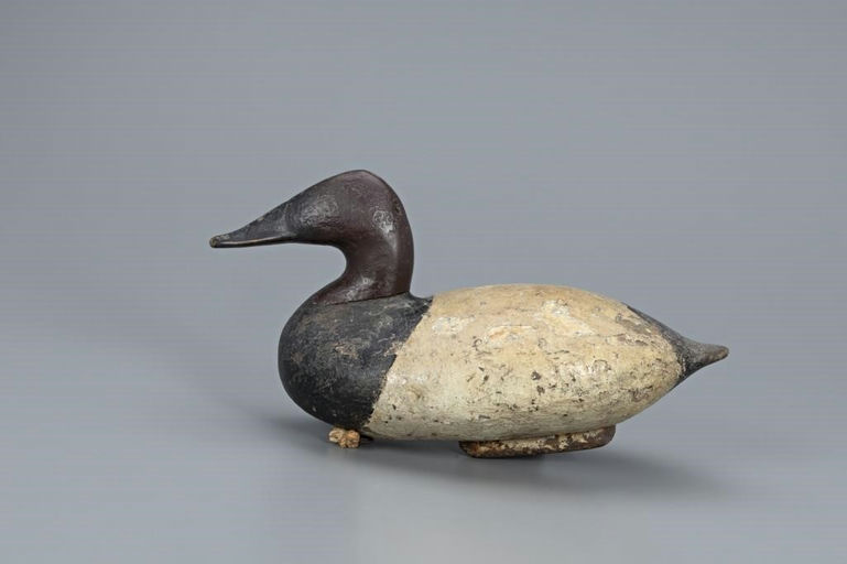 John Graham – Canvasback Drake – 2019