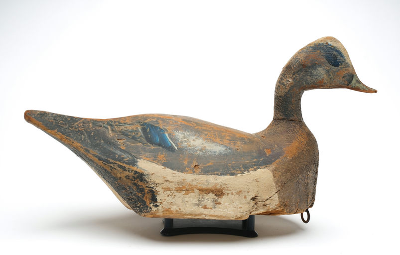 Lloyd Tyler — Wigeon