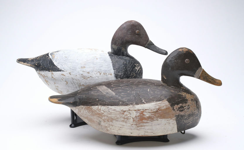 Miles Hancock – Canvasback – 2026