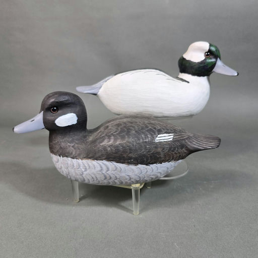 Herb Daisey – Bufflehead – 2026