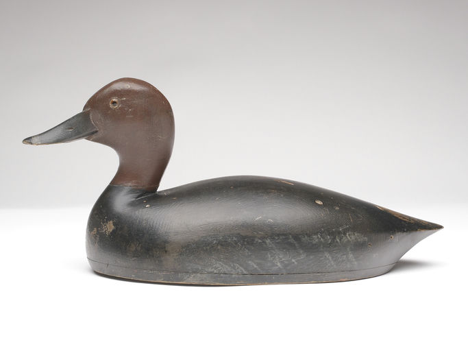 Thomas Chambers – Round Head Redhead Drake – 2023