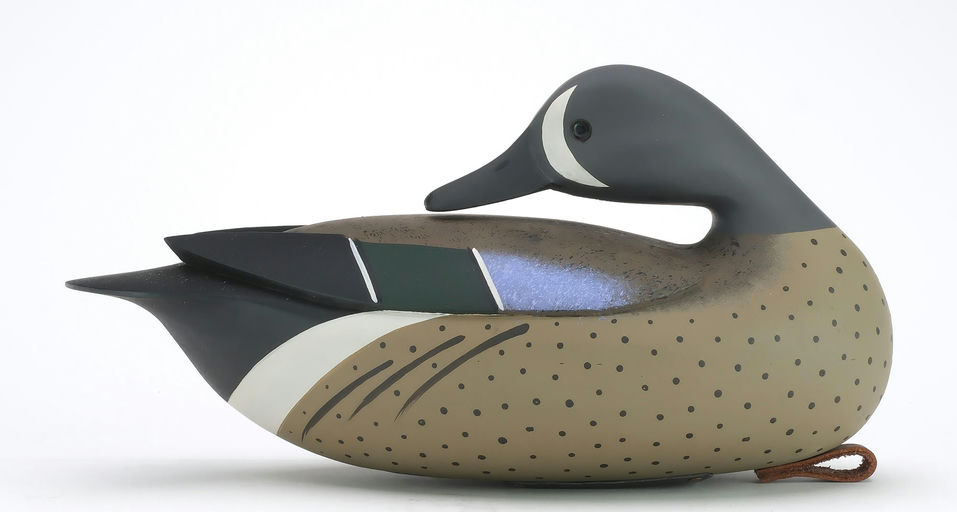 Jamie Hand – Blue-winged Teal – 2024
