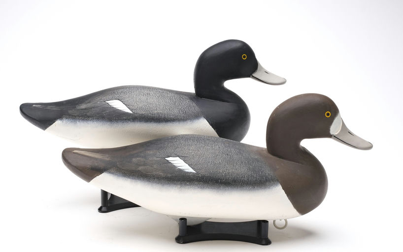 Charlie Joiner – Pair of Bluebill – 2026