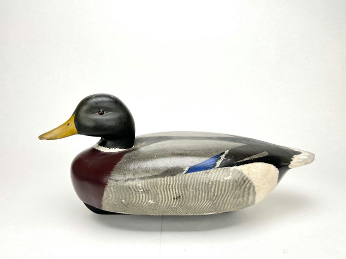 Ken Harris – Magnum Mallard Drake – 2024