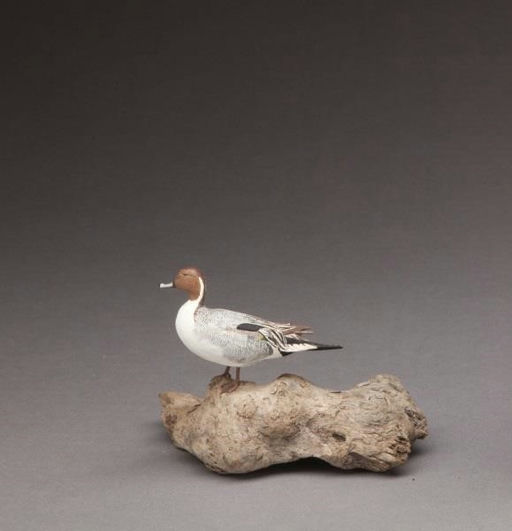 Helen Lay Strong – Miniature Pintail Drake – 2012