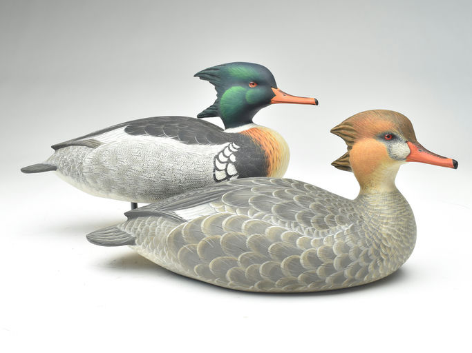Ben A. Heinemann – Red-breasted Merganser – 2023
