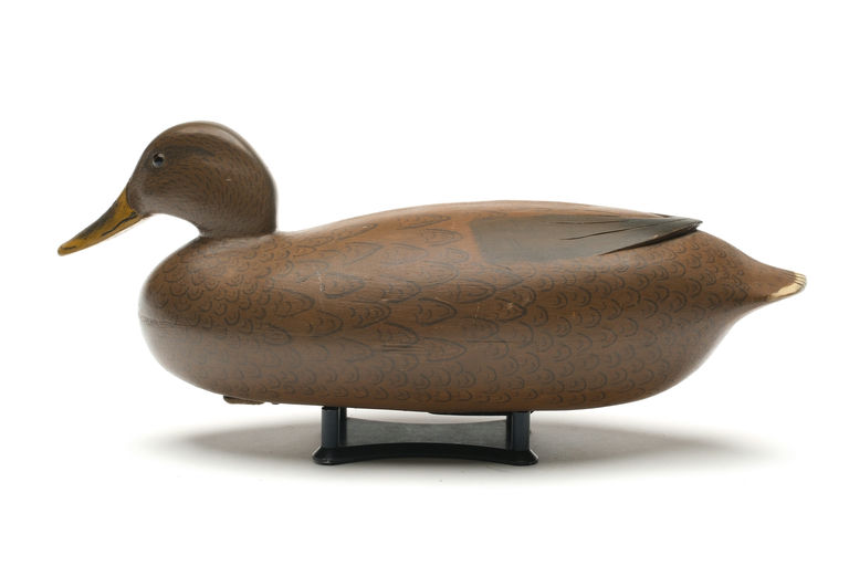 Joe King – Mallard – 2026