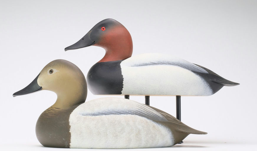 Oliver Lawson – Pair of Canvasback – 2024