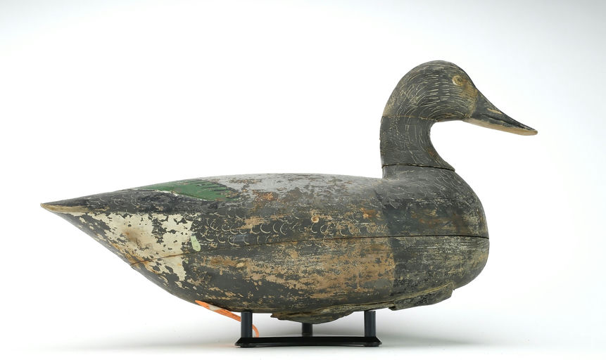 Ira Hudson – Pintail – 2025