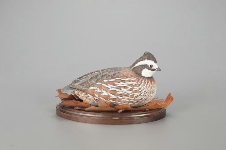 Ben A. Heinemann – Bobwhite Quail – 2022