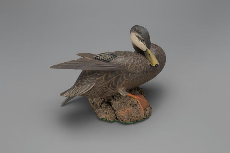 Ward Brothers – "Sunbathing" Black Duck – 2018