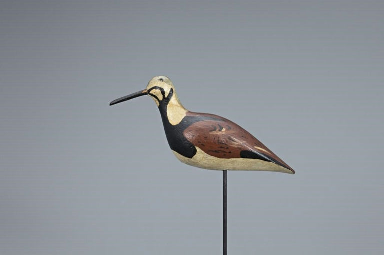 John Horn – Ruddy Turnstone – 2019