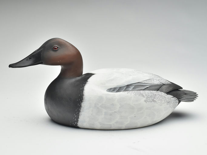 Jim Schmiedlin – Canvasback Drake – 2023