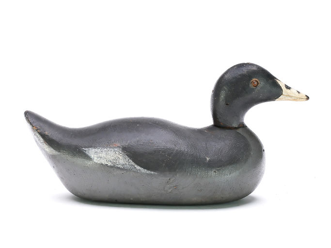 Mason Decoy Factory – Coot – 2025