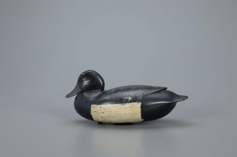 Joe King – Tucked-head Bluebill – 2020