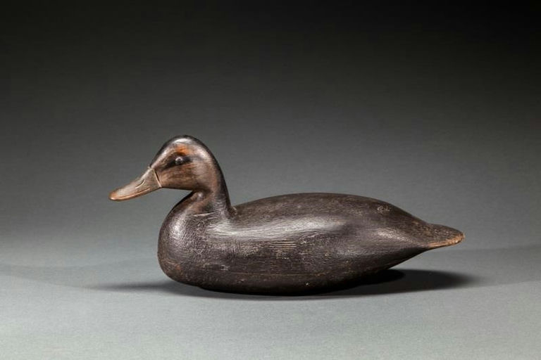 Mark Kears – Black Duck – 2015