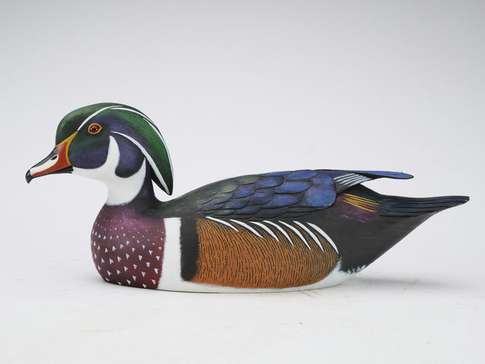 Jim Schmiedlin – Wood Duck – 2024