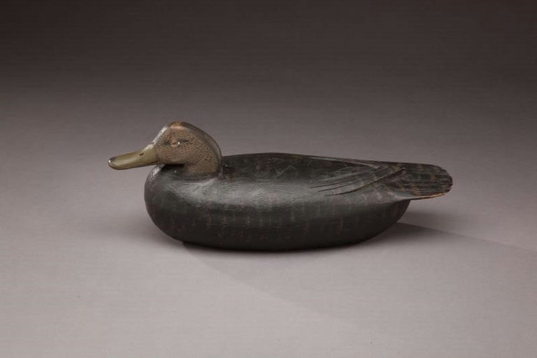 Tom Fitzpatrick – Black Duck – 2011