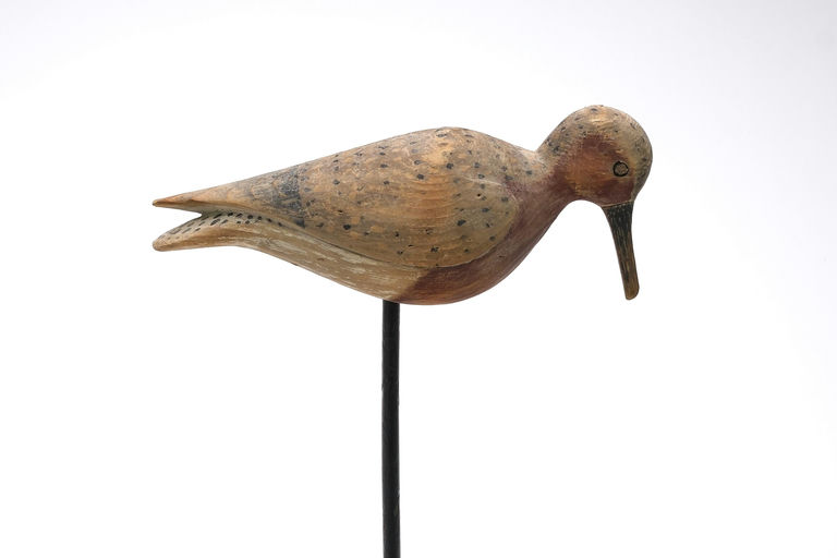 Mark McNair – Red knot – 2024