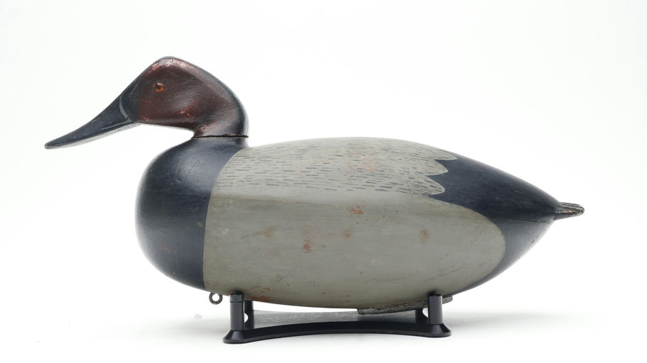 Jess Heisler – Canvasback – 2026