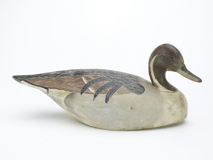Ira Hudson – Pintail – 2024