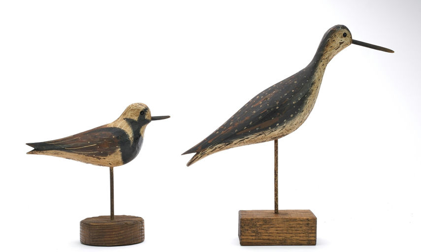 Pete Peterson – Ruddy Turnstone – 2024