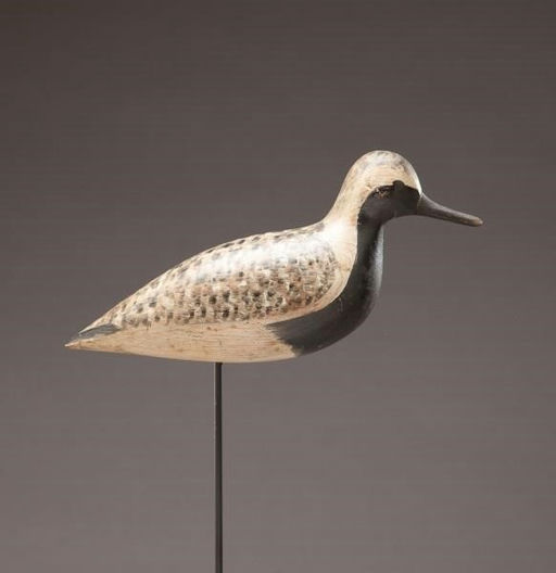 Harry V. Shourds – Black-Bellied Plover – 2013