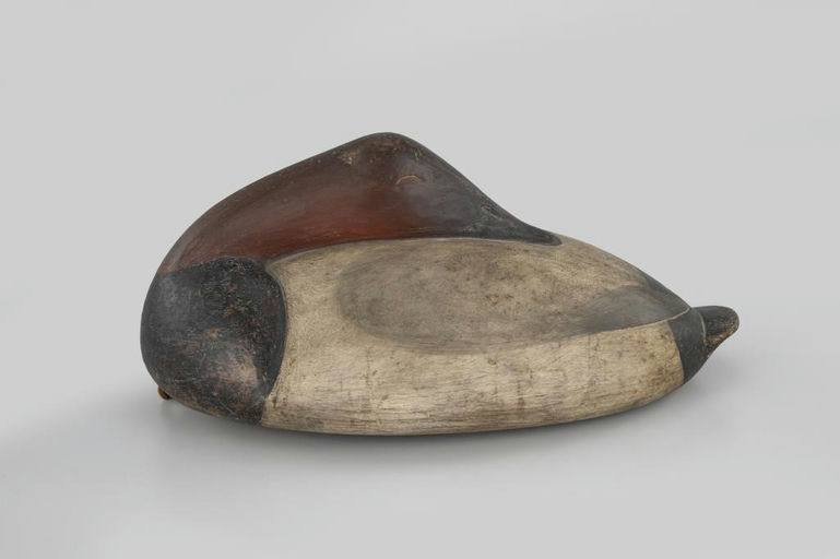 Cameron McIntyre – Sleeping Canvasback – 2026