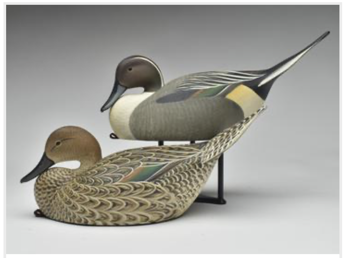 Marty Hanson – Pintail