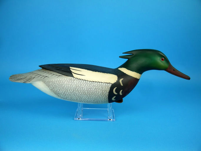 Clarence Fennimore – Red-Breasted Merganser Drake – 2026