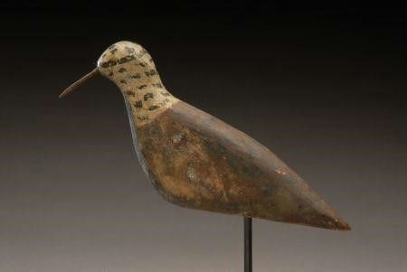 William Sarentino – Ruddy Turnstone – 2007