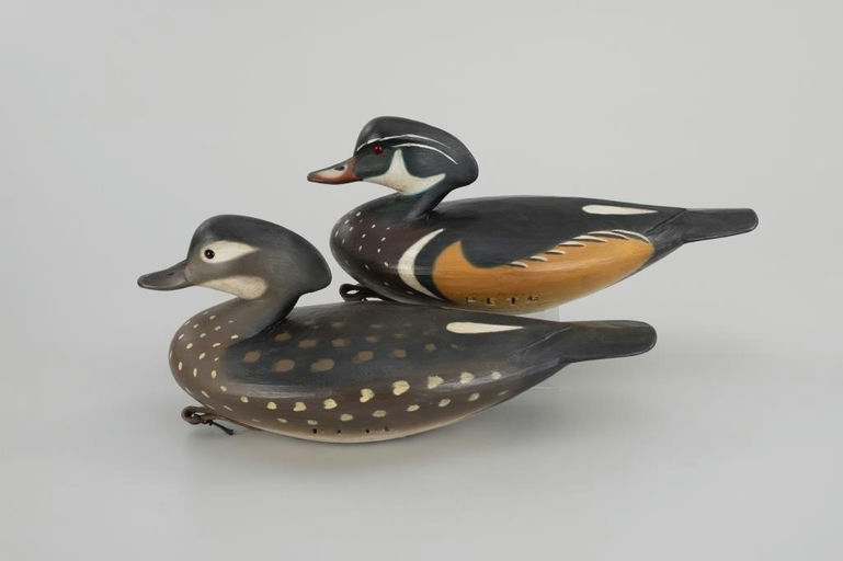 Pete Peterson – Wood Duck Pair – 2026