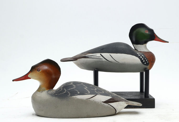 Ward Brothers – Pair of Miniature Red-breasted Merganser – 2026