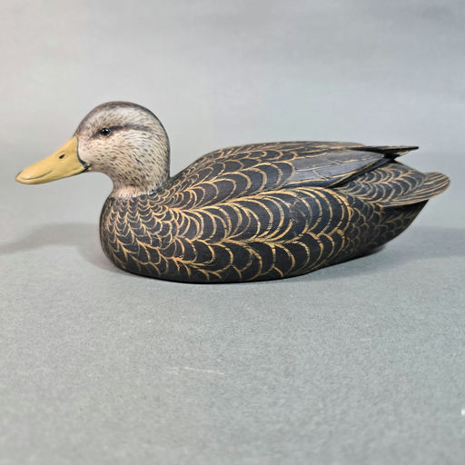 D. Bennett Scott – Black Duck – 2026