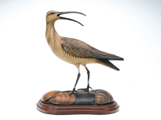 Bill Gibian – Curlew – 2025