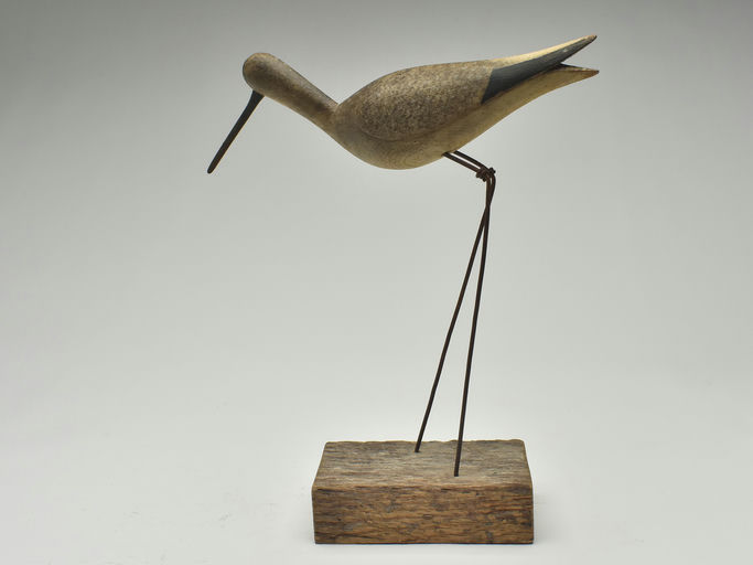 Mark McNair – Willet – 2023