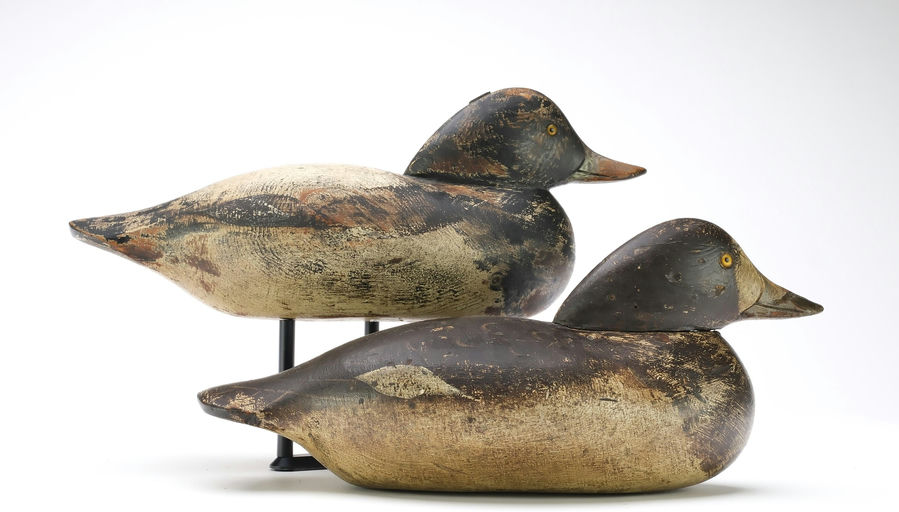 Mason Decoy Factory – Pair of Bluebills – 2025