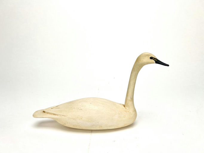 Bob White – Miniature Swan – 2024