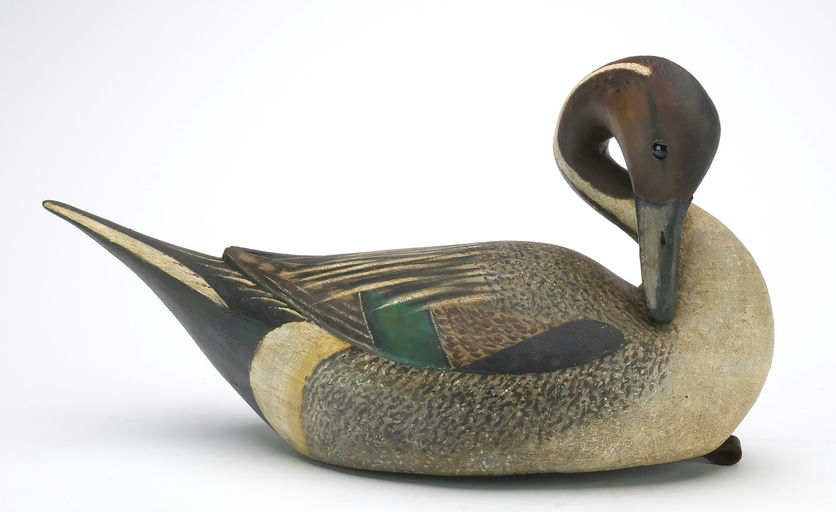 Reggie Birch – Pintail – 2024