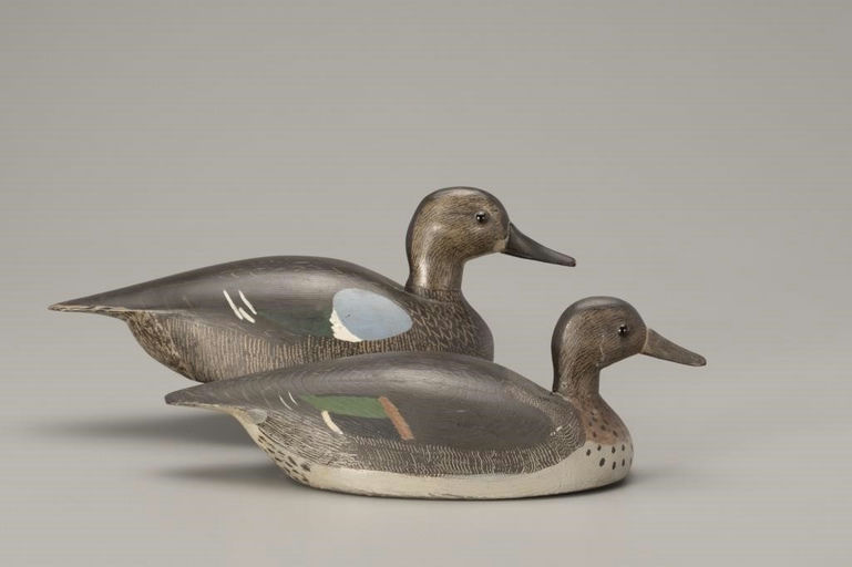 Billy Ellis – Two Teal – 2018