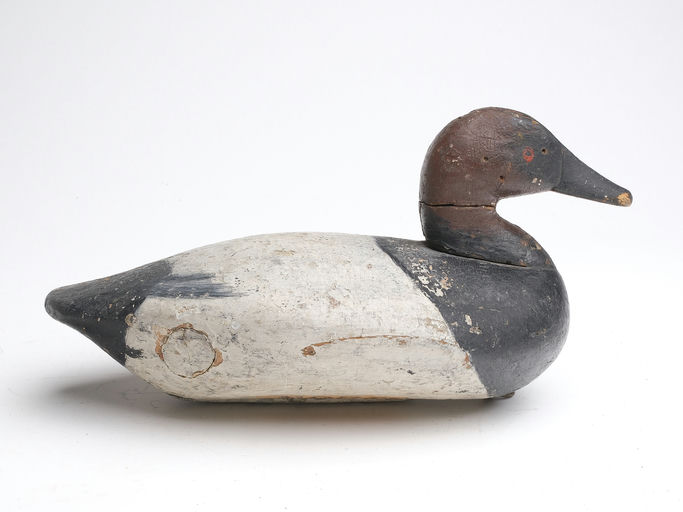 John Daddy Holly – Canvasback – 2023