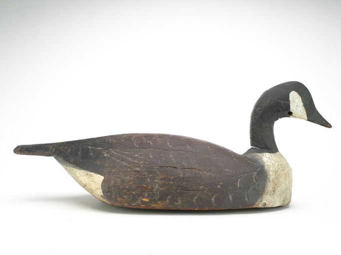 Lloyd Tyler – Canada Goose – 2024
