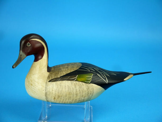 Harry V. Shourds – Miniature Pintail Drake – 2026