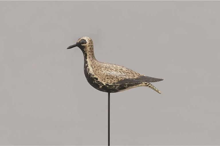 Elmer Crowell – The Harmon "Dust Jacket" Plover – 2019