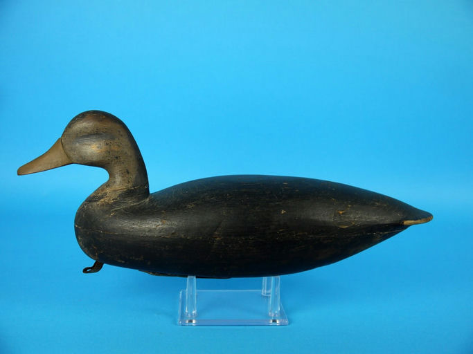 Taylor Johnson – Black Duck – 2026
